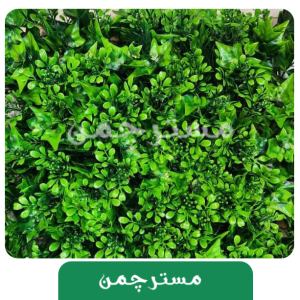 دیوار سبز پاپیتال میکس دورنگ