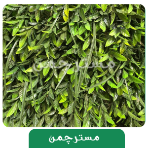 دیوارپوش سبز ترخون25*25