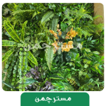 دیوار برجسته (استوایی) - Image 2