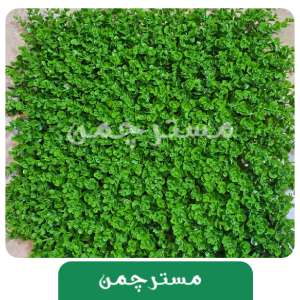 دیوارپوش 50*50گرینوال شمشادی دیوار سبز