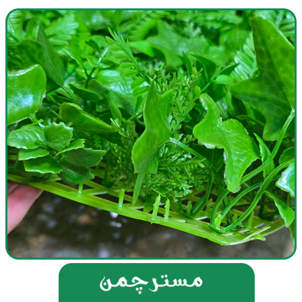 گرینوال کد 2502