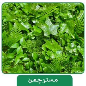 گرین وال 2503