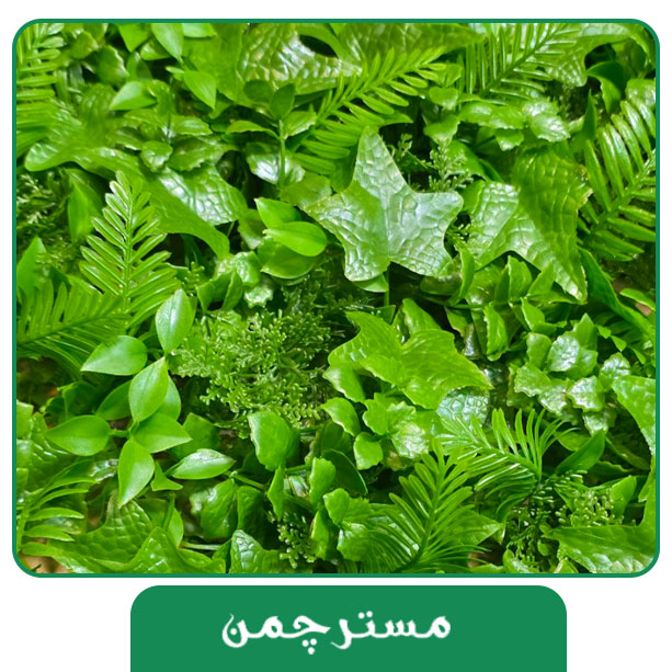 گرین وال 2503