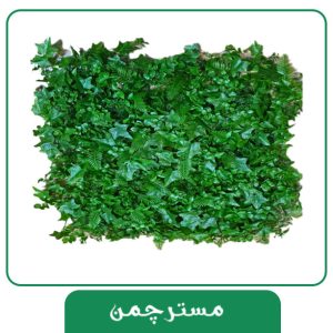 گرینوال 25*25 از فروشگاه مستر چمن