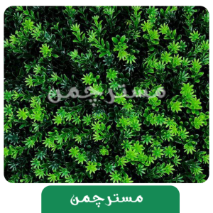 گرین وال رز مار گلدار