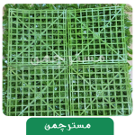 گرین وال سرخس 25*25