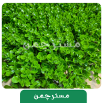 گرینوال مصنوعی دیوار سبز مدل شمشادی ضخیم - Image 2