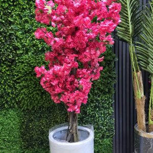 درختچه شکوفه